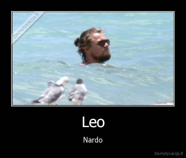 Leo - Nardo