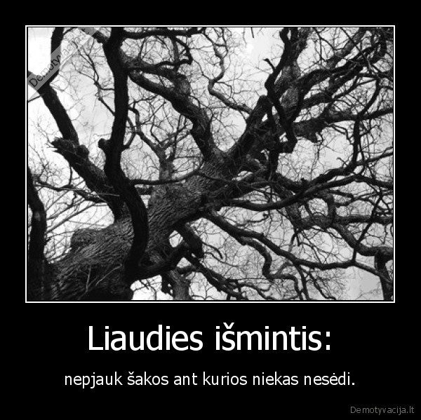 Liaudies išmintis: - nepjauk šakos ant kurios niekas nesėdi.