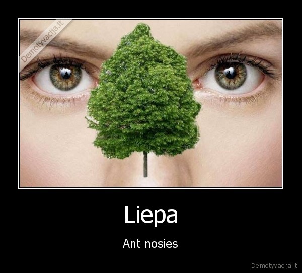 Liepa - Ant nosies