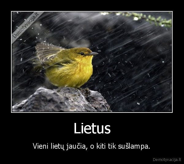 Lietus - Vieni lietų jaučia, o kiti tik sušlampa.