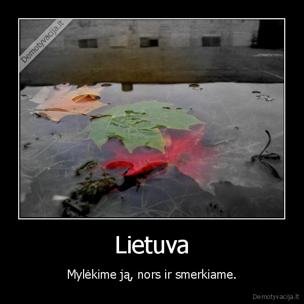 Lietuva - Mylėkime ją, nors ir smerkiame.