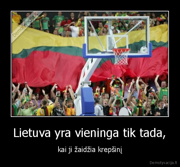 Lietuva yra vieninga tik tada, - kai ji žaidžia krepšinį