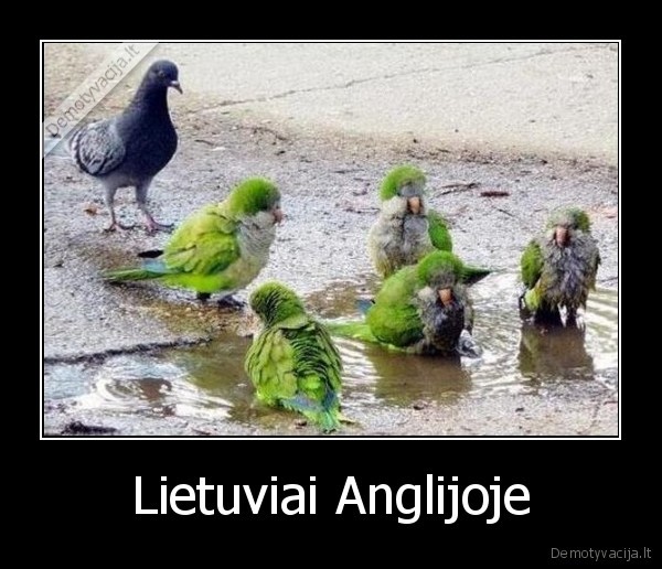 Lietuviai Anglijoje - 