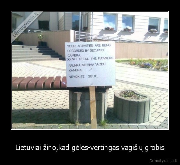 Lietuviai žino,kad gėlės-vertingas vagišių grobis - 