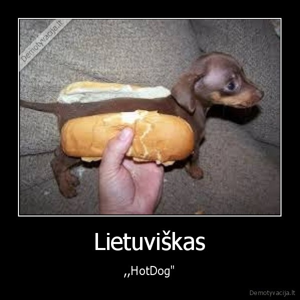 Lietuviškas - ,,HotDog"