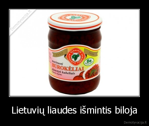 Lietuvių liaudes išmintis biloja - 