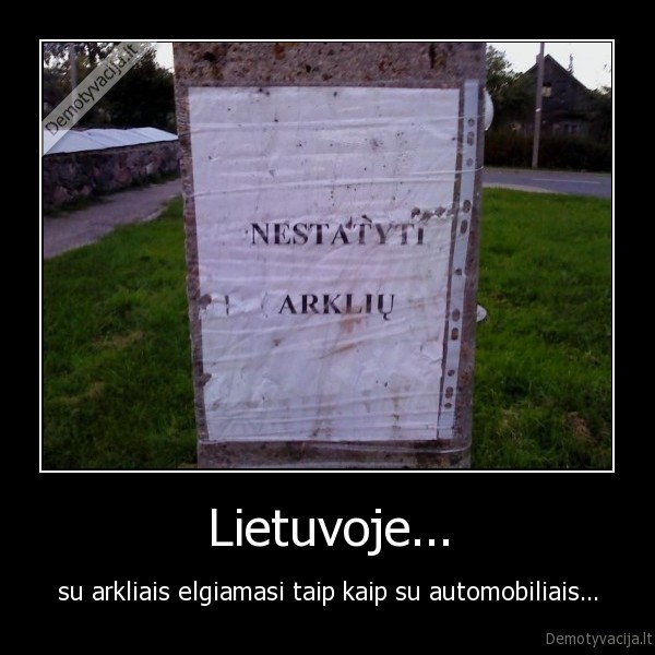 Lietuvoje... - su arkliais elgiamasi taip kaip su automobiliais...