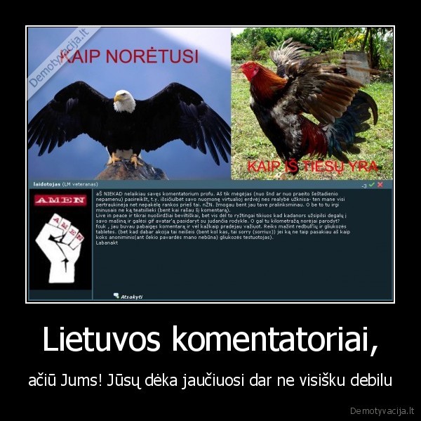 Lietuvos komentatoriai, - ačiū Jums! Jūsų dėka jaučiuosi dar ne visišku debilu