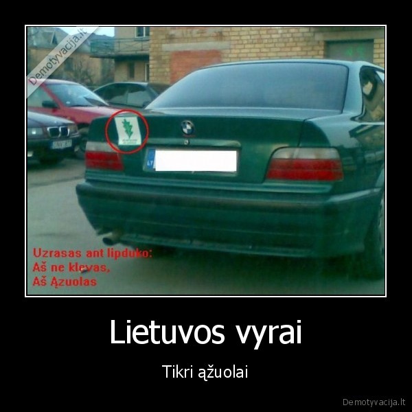 Lietuvos vyrai - Tikri ąžuolai