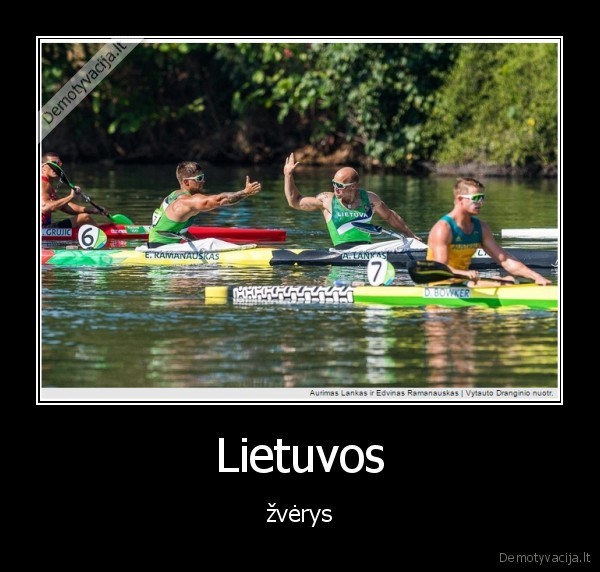 Lietuvos - žvėrys