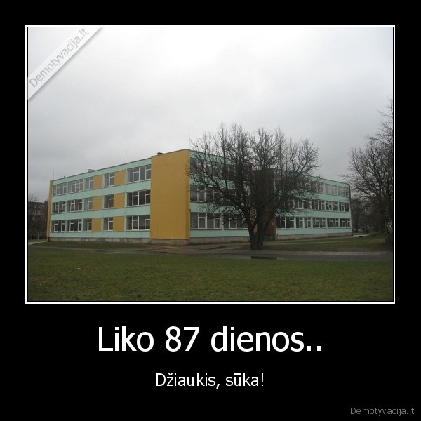 Liko 87 dienos.. - Džiaukis, sūka!