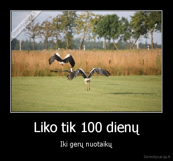 Liko tik 100 dienų - Iki gerų nuotaikų