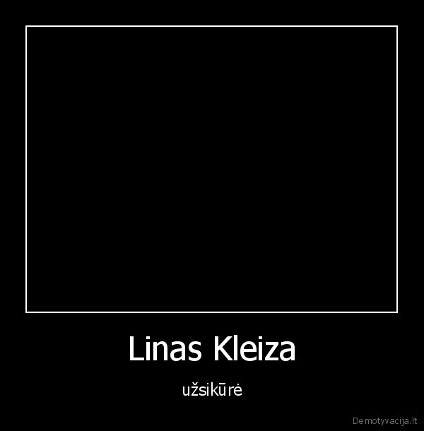 Linas Kleiza - užsikūrė