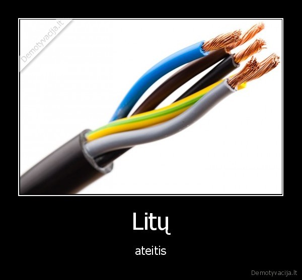 Litų - ateitis