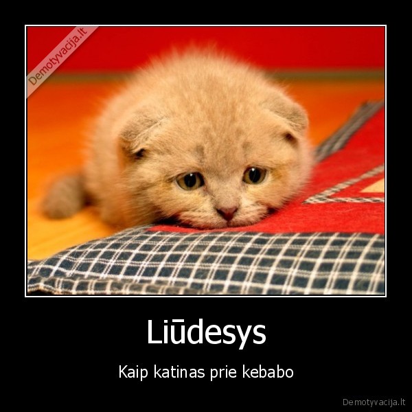 Liūdesys - Kaip katinas prie kebabo