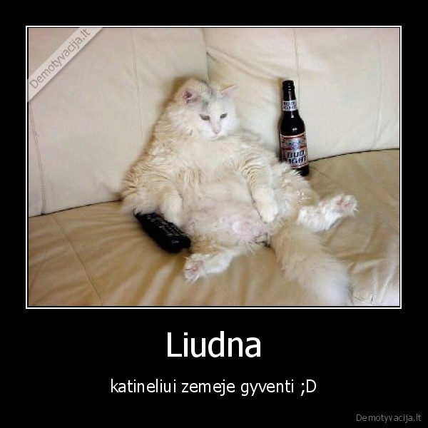 Liudna - katineliui zemeje gyventi ;D