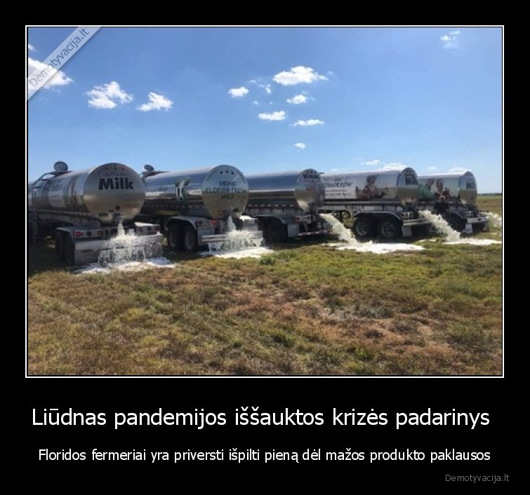 Liūdnas pandemijos iššauktos krizės padarinys  - Floridos fermeriai yra priversti išpilti pieną dėl mažos produkto paklausos