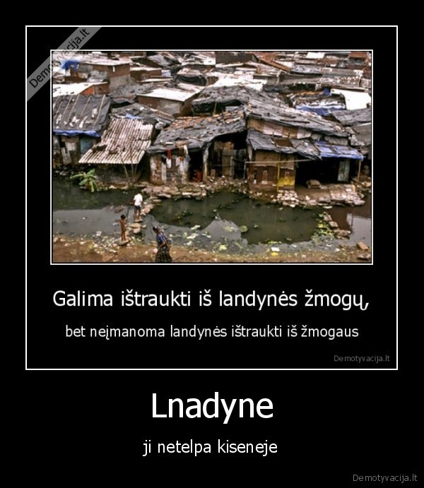 Lnadyne - ji netelpa kiseneje