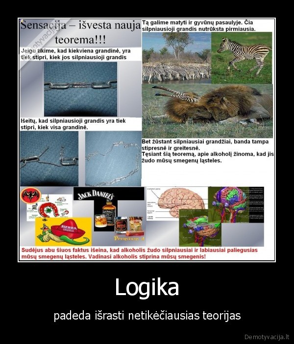 Logika - padeda išrasti netikėčiausias teorijas