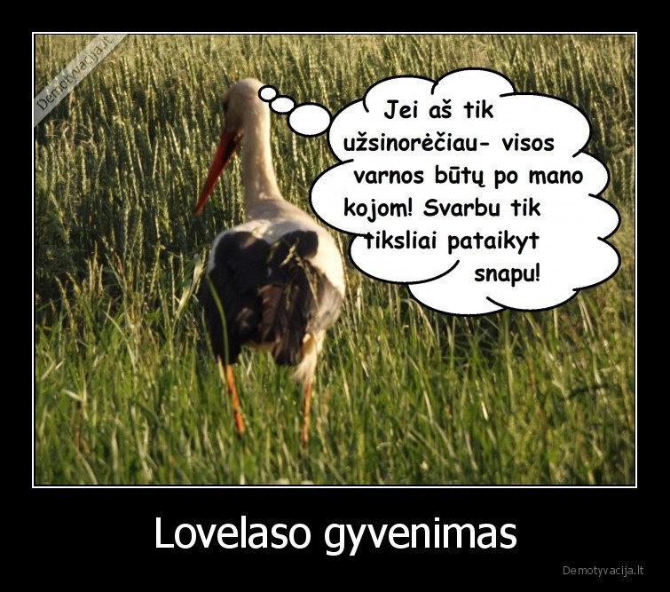 Lovelaso gyvenimas - 