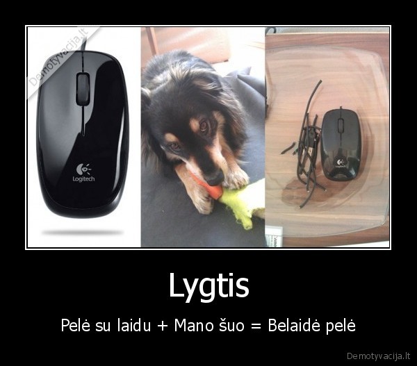 Lygtis - Pelė su laidu + Mano šuo = Belaidė pelė