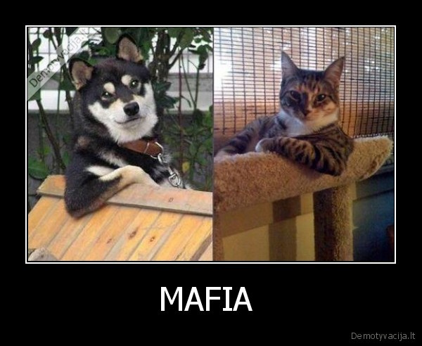 MAFIA  - 