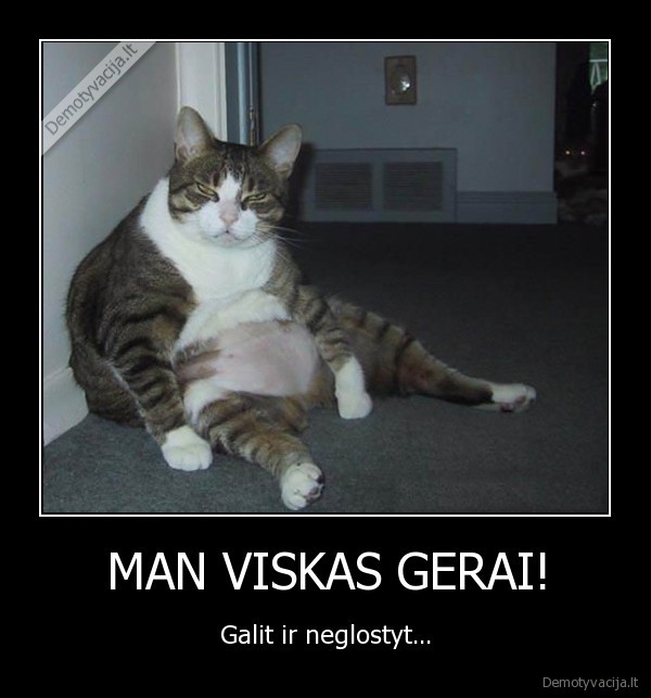 MAN VISKAS GERAI! - Galit ir neglostyt...