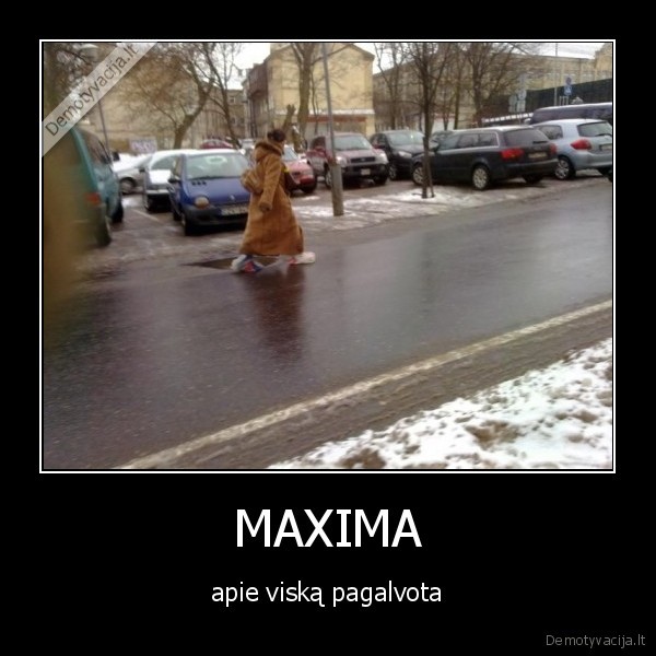 MAXIMA - apie viską pagalvota