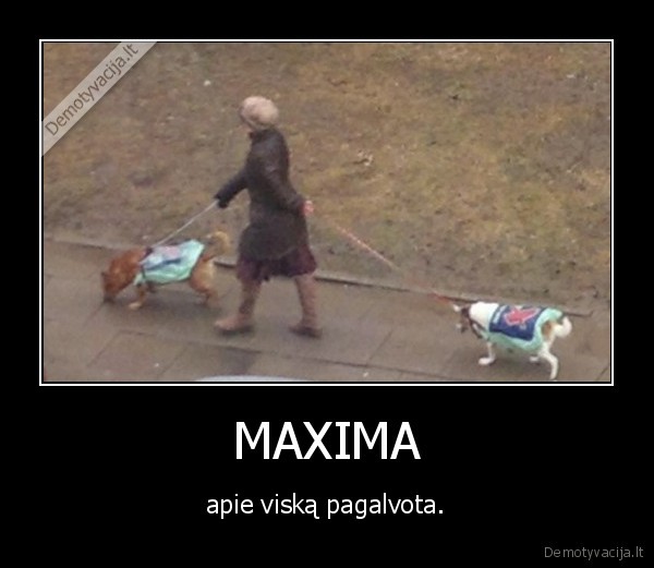 MAXIMA - apie viską pagalvota.