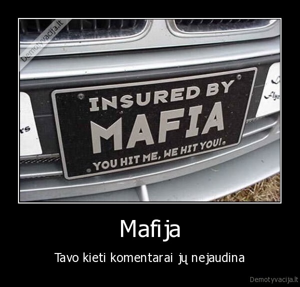 Mafija - Tavo kieti komentarai jų nejaudina