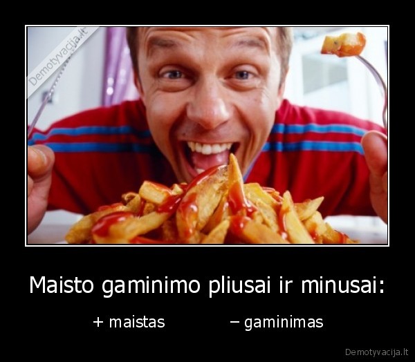 Maisto gaminimo pliusai ir minusai: - + maistas             – gaminimas