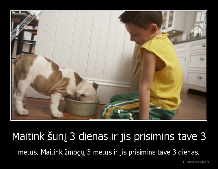 Maitink šunį 3 dienas ir jis prisimins tave 3 - metus. Maitink žmogų 3 metus ir jis prisimins tave 3 dienas.