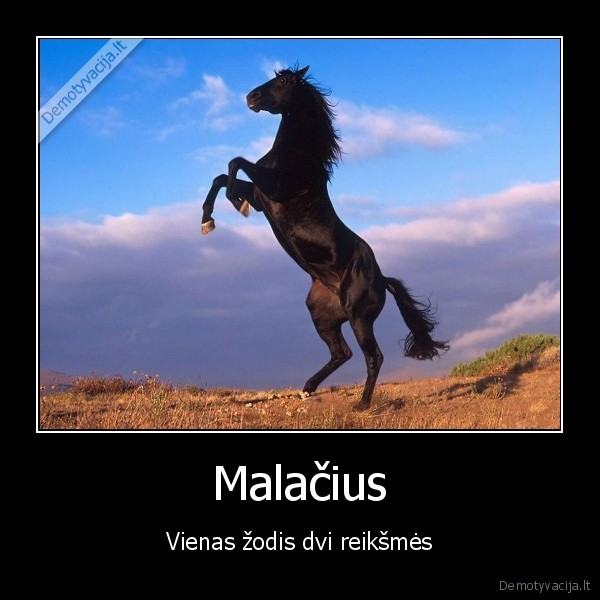 Malačius - Vienas žodis dvi reikšmės