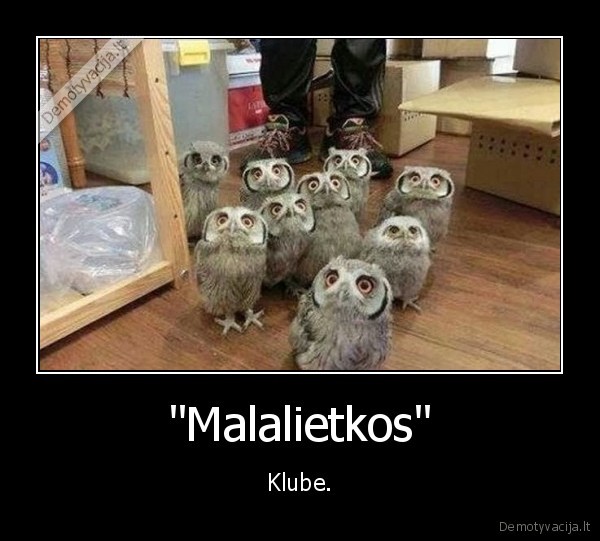 "Malalietkos" - Klube.