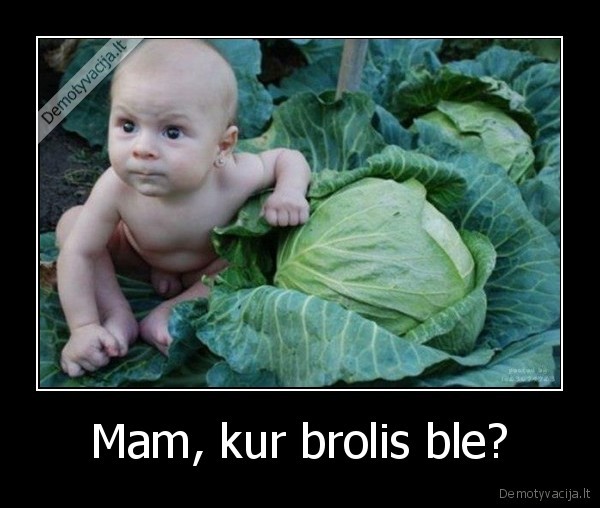 Mam, kur brolis ble? - 