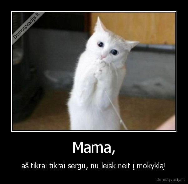 Mama, - aš tikrai tikrai sergu, nu leisk neit į mokyklą!