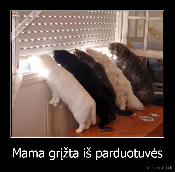 Mama grįžta iš parduotuvės - 