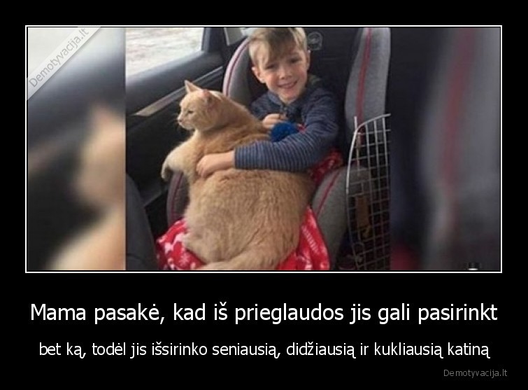 Mama pasakė, kad iš prieglaudos jis gali pasirinkt - bet ką, todėl jis išsirinko seniausią, didžiausią ir kukliausią katiną