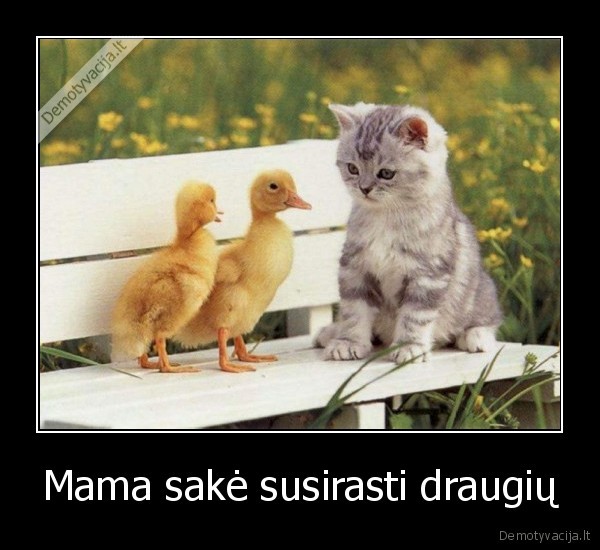 Mama sakė susirasti draugių - 