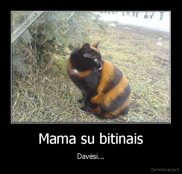 Mama su bitinais - Davėsi...