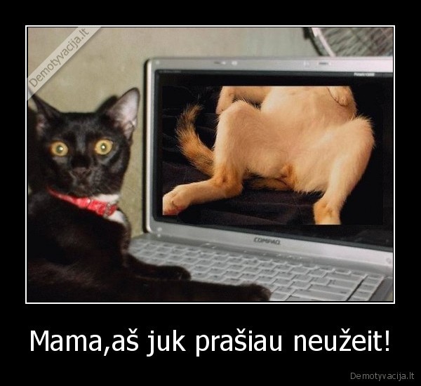 Mama,aš juk prašiau neužeit! - 