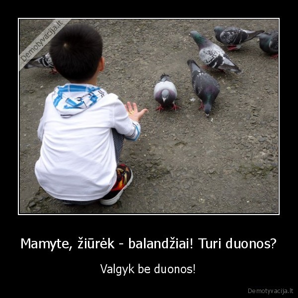 Mamyte, žiūrėk - balandžiai! Turi duonos? - Valgyk be duonos!