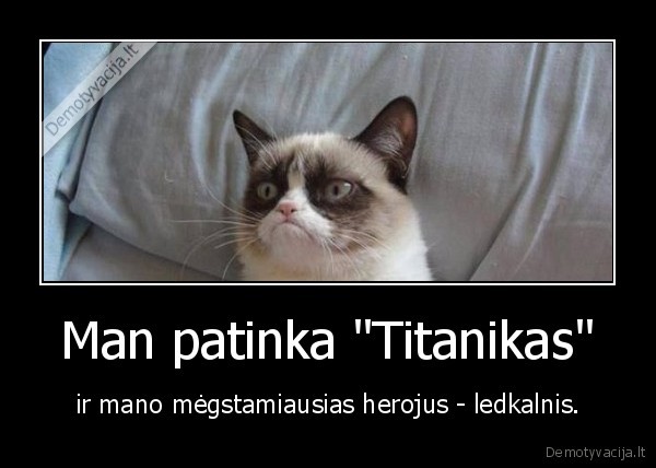 Man patinka "Titanikas" - ir mano mėgstamiausias herojus - ledkalnis.