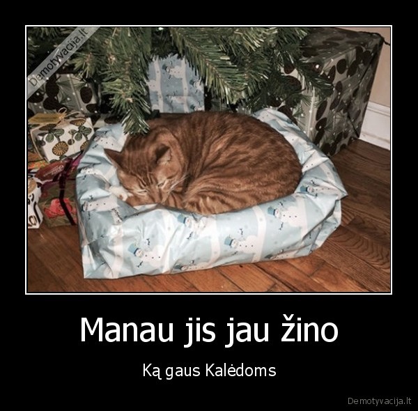 Manau jis jau žino - Ką gaus Kalėdoms