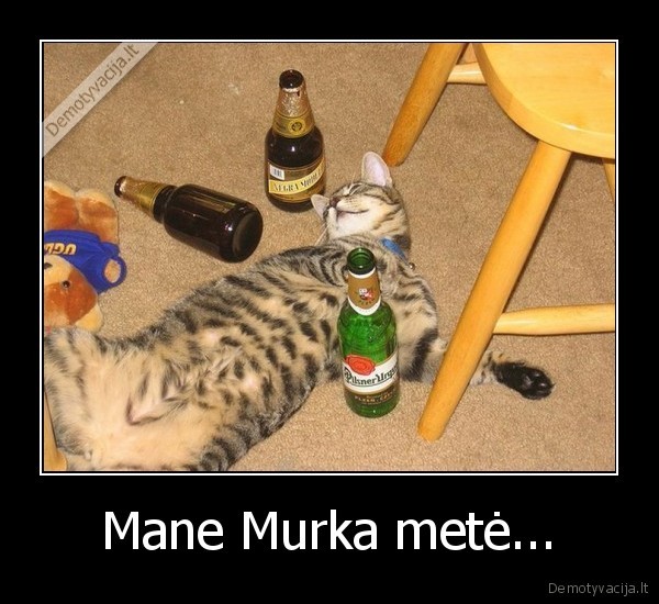 Mane Murka metė... - 