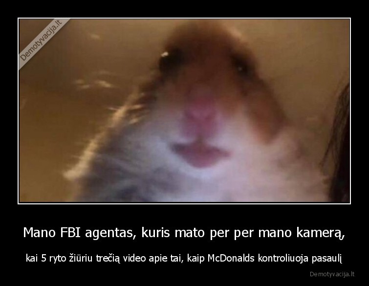 Mano FBI agentas, kuris mato per per mano kamerą, - kai 5 ryto žiūriu trečią video apie tai, kaip McDonalds kontroliuoja pasaulį