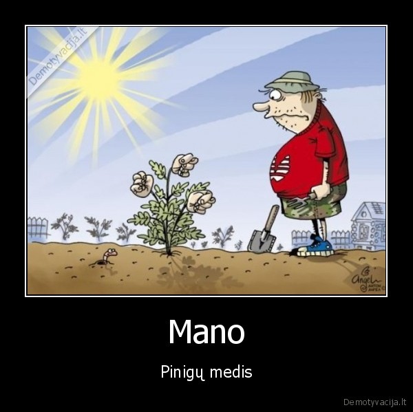 Mano - Pinigų medis