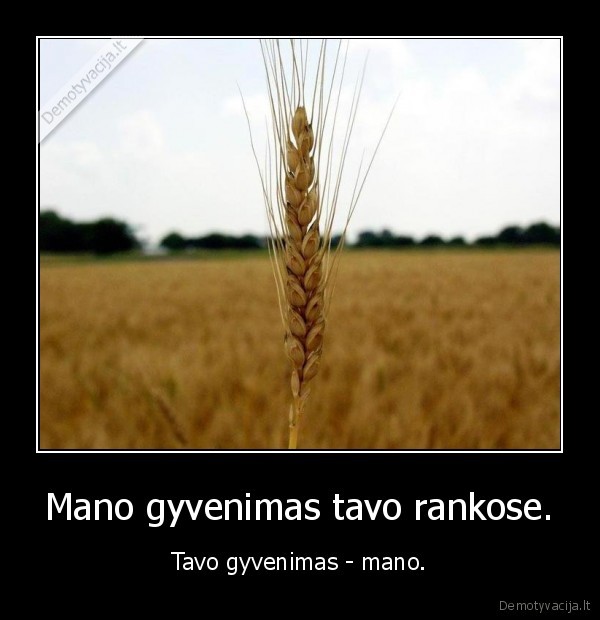 Mano gyvenimas tavo rankose. - Tavo gyvenimas - mano.