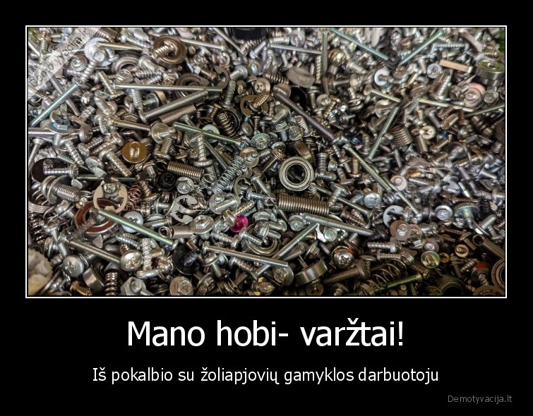 Mano hobi- varžtai! - Iš pokalbio su žoliapjovių gamyklos darbuotoju