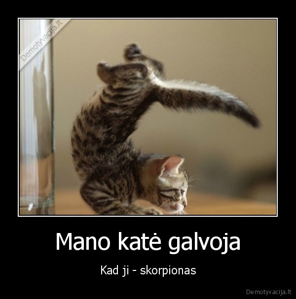 Mano katė galvoja - Kad ji - skorpionas